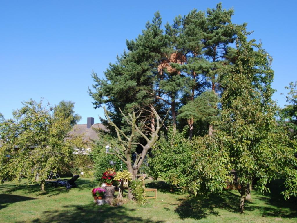 Ferienhaus Mit Garten Am Bodstedter Bodden Exterior photo